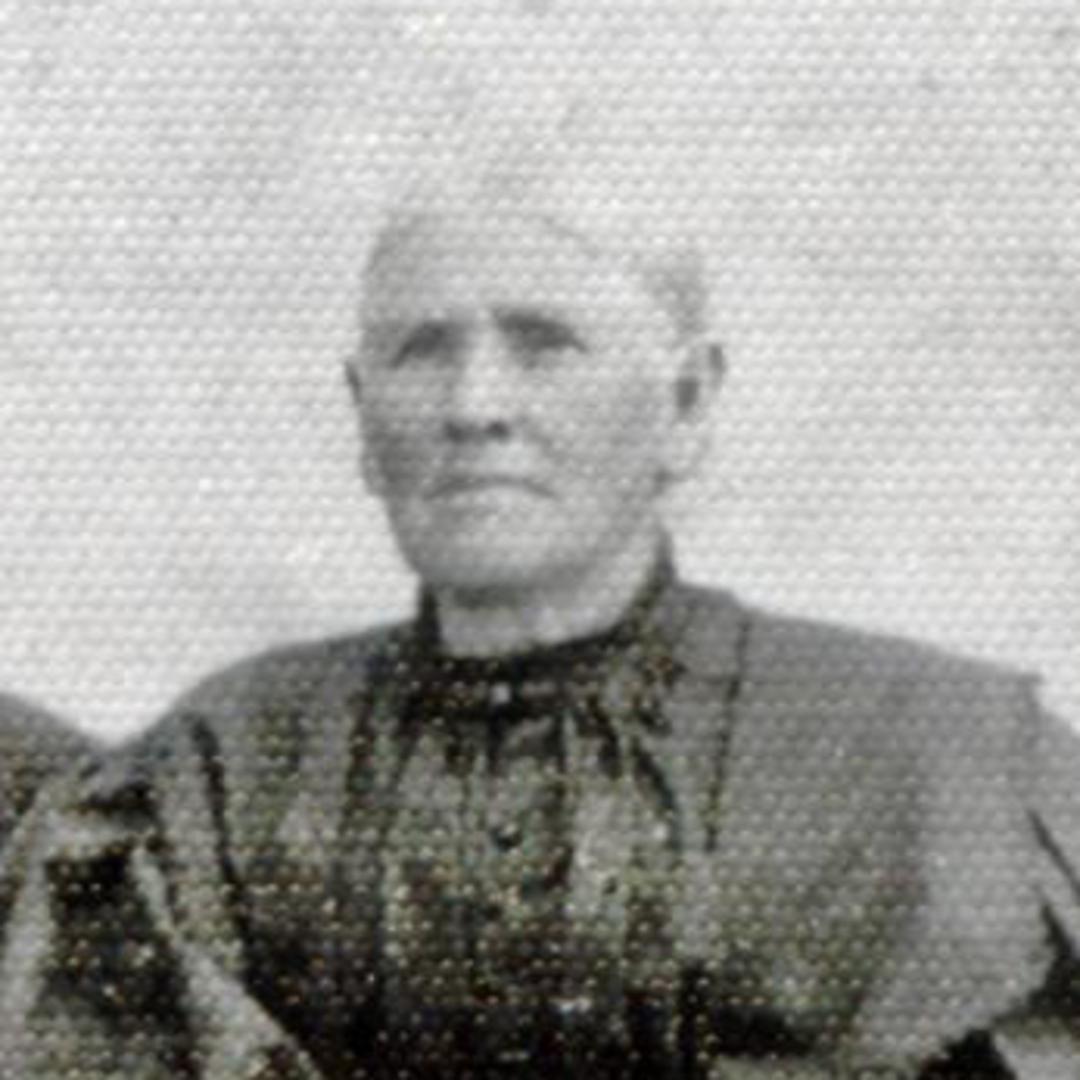 Mary Angeline Jolley (1834 - 1918) Profile
